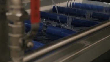 Balık yemi üretim hattı