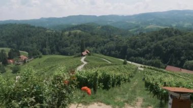 Slovenya 'da kalp şeklinde bir yol. Sevgililer gününü kutlamak için güzel bir yer..