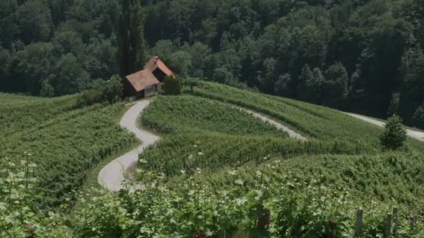 Camino Forma Corazón Eslovenia Buen Lugar Para Celebrar Día San — Vídeos de Stock