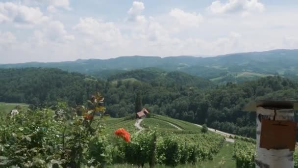 Дорога Словенії Має Серцеподібну Форму Гарне Місце Щоб Відсвяткувати День — стокове відео