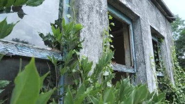 Terk edilmiş eski çiftlik evi. Bir asır önce İspanyol ailelerin yaşadığı eski hayvan çiftliği..