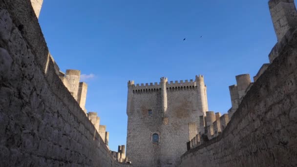 Castello Peafiel Castello Situato Nella Città Peafiel Valladolid Che Sorge — Video Stock