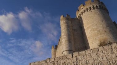 Peafiel Şatosu, Valladolid 'in Peafiel kasabasında yer alan ve uzun ve dar bir tepenin üzerinde duran bir kaledir..