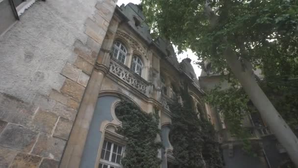 ブダペストの金大中城 ハンガリー — ストック動画