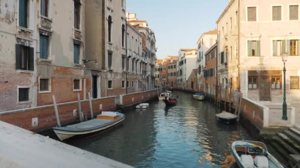 베네치아 관광객 곤돌라가 드나드는 베네치아 — 비디오