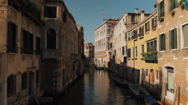 Canale Venezia Principali Canali Venezia Frequentati Turisti Gondolieri — Video Stock