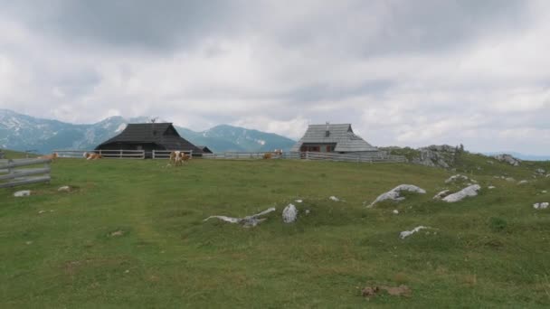 Bela Aldeia Montanha Eslovénia Velika Planina — Vídeo de Stock