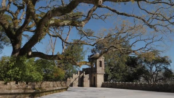 Quinta Regaleira Sintra Increíble Lugar Para Desconectar — Vídeos de Stock