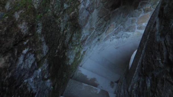 Quinta Regaleira Sintra Increíble Lugar Para Desconectar — Vídeos de Stock