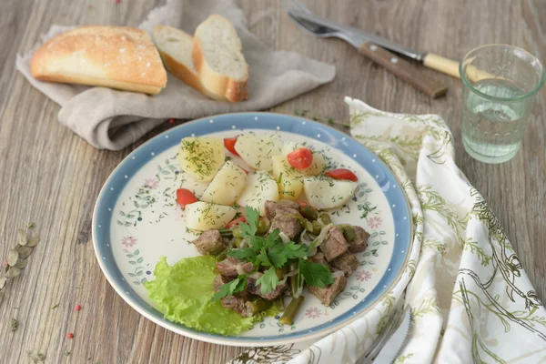 Carne com feijão — Fotografia de Stock