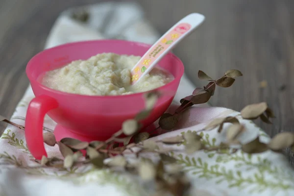 Puré con pollo, calabacín y manzanas — Foto de Stock