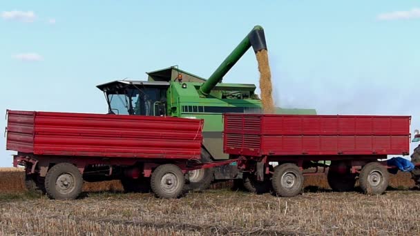 Συνδυάστε harvester εκφόρτωσης σόγιας για ρυμουλκούμενο — Αρχείο Βίντεο