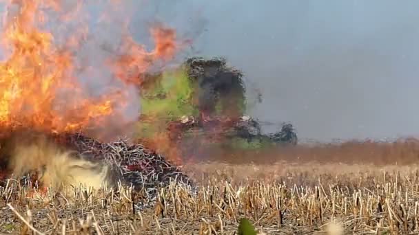 Cosechadora que pasa por paja disparada en el campo — Vídeos de Stock