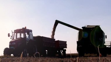 Traktör römork içinde birleştirmek-hasat boşaltma soya fasulyesi