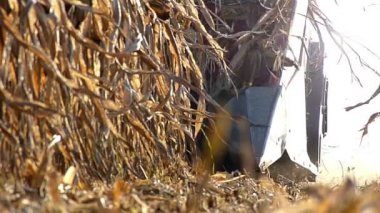 Hasat sırasında hasat üstbilgi birleştirmek