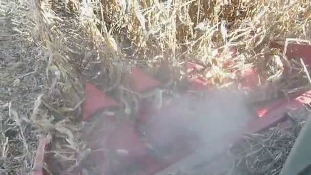 옥수수 수확 하는 동안 머리글 결합 — 비디오
