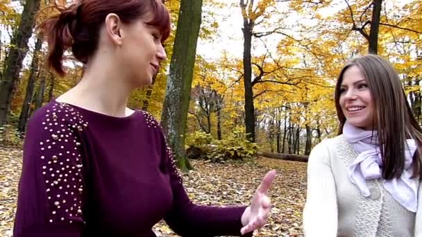 Les jeunes filles parlent sur le banc dans la forêt . — Video