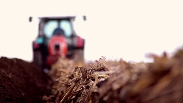 Campo de arado del tractor deslumbrado — Vídeos de Stock