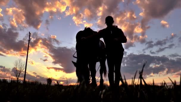 Chica mimos un caballo en la puesta del sol . — Vídeos de Stock