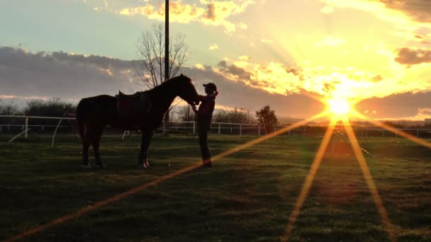 Fille câline un cheval au coucher du soleil . — Video