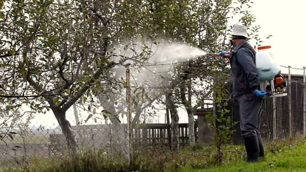 Trädgårdsmästare besprutning med koppar för skydd av fruktträd — Stockvideo