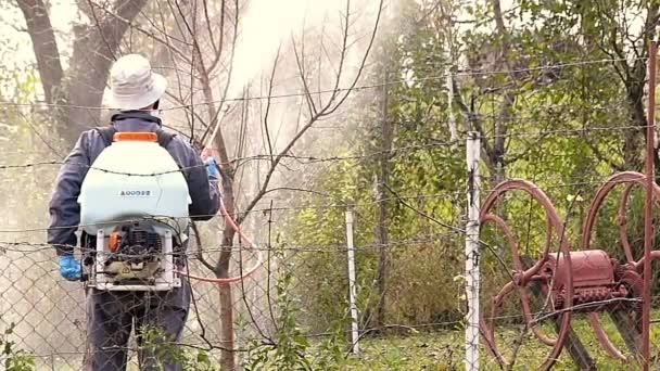 Tuinman spuiten met koper voor bescherming van fruitbomen — Stockvideo