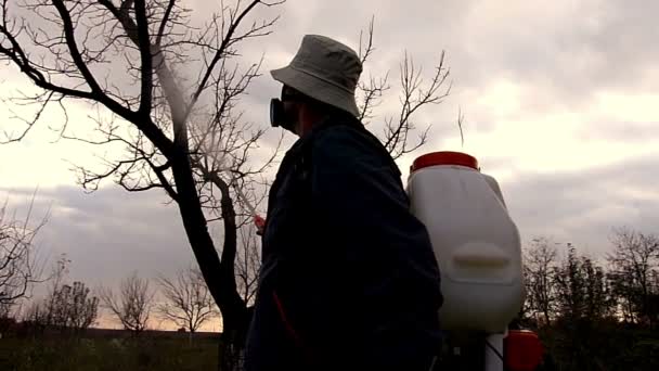 Gardener spraying with copper for protection of fruit trees — Stock Video