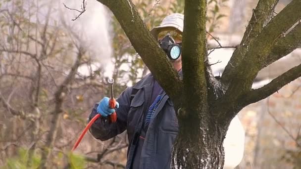 Pulverização de jardineiro com cobre para proteção de árvores de fruto — Vídeo de Stock