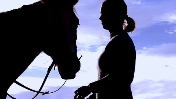 Jeune fille s'amuser avec un cheval — Video