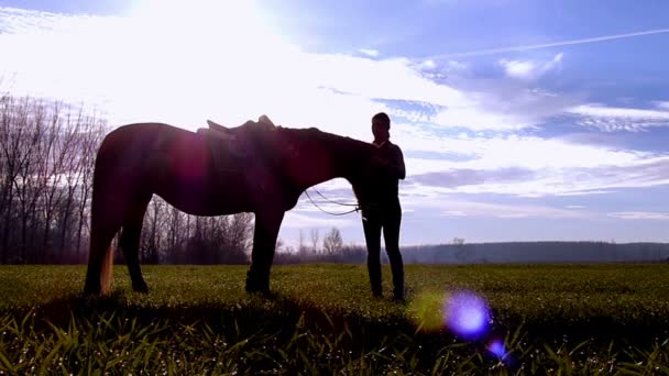 Jovencita divirtiéndose con un caballo — Vídeo de stock