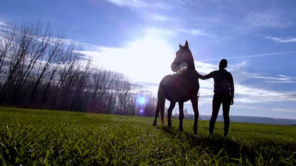 Jovencita divirtiéndose con un caballo — Vídeos de Stock