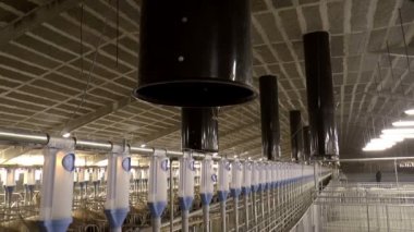 Çiftlik domuz yetiştiriciliği için.