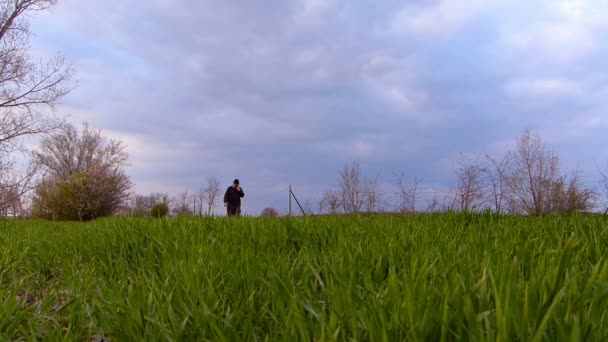 Старший фермер перевіряє пшеницю перед весняним дощем . — стокове відео