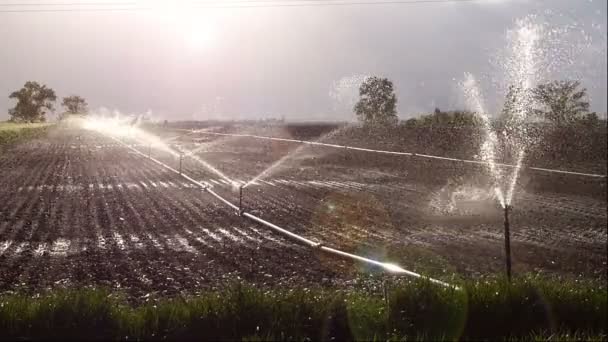 Landbouwgebied irrigatie — Stockvideo
