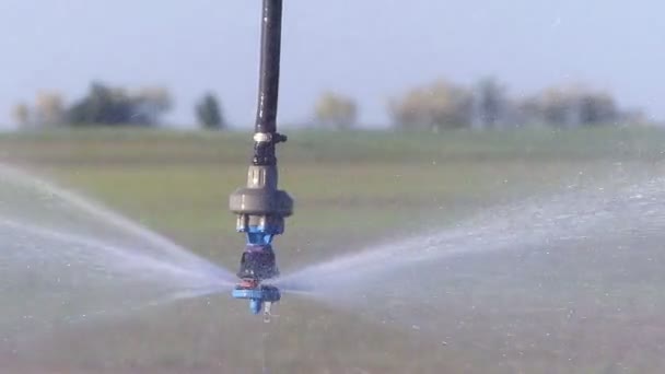 Bevattning system sprinkler. — Stockvideo