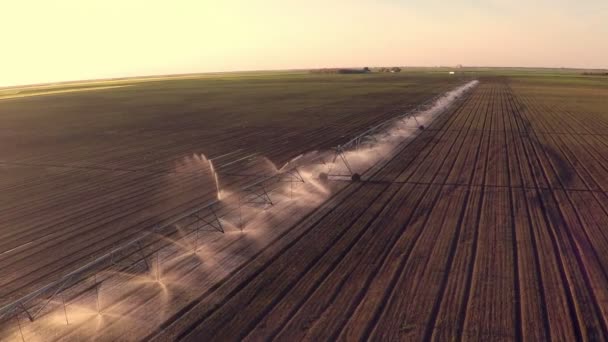 Agricultural field irrigation. — Stock Video