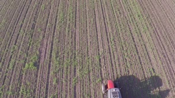 Трактор поливает соевое поле химикатами — стоковое видео