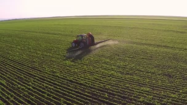 Trekker dribbelt de soja veld met chemicaliën — Stockvideo