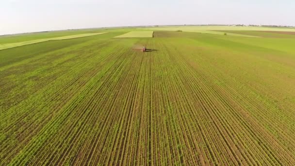 Trekker dribbelt de soja veld met chemicaliën — Stockvideo