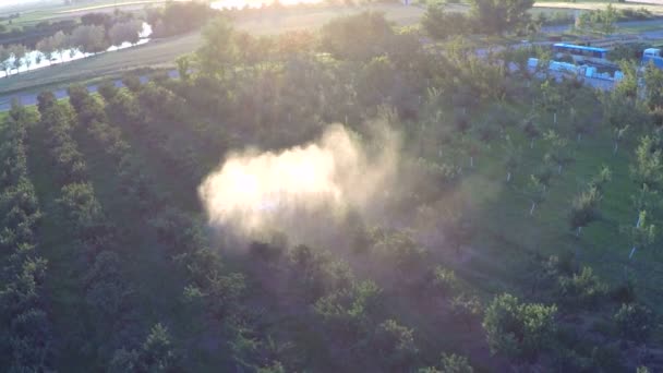 Traktor sprinkles fruktträdgården med kemikalier — Stockvideo