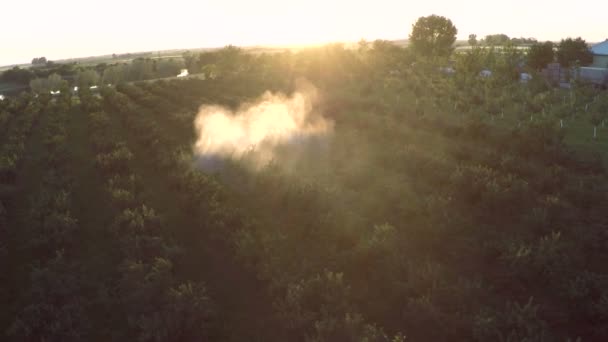 Trekker dribbelt de boomgaard met chemicaliën — Stockvideo