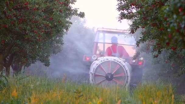 Landwirt streut Kirschbäume — Stockvideo