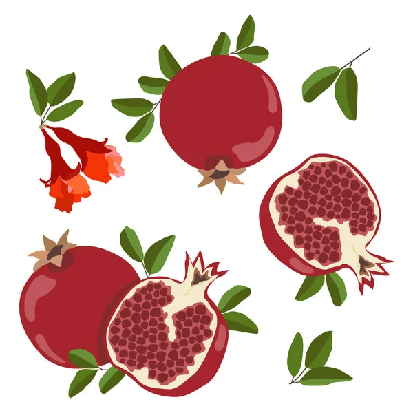 Granadas Vectoriales Conjunto Frutos Frescos Enteros Mitad Rodajas Granada Flores — Vector de stock