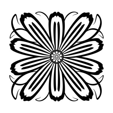 Botanik gravür, elle çizilmiş çiçeklerin grafik resmi. Papatya çiçeği. Beyaz arkaplanda siyah ve beyaz vektör görüntüsü izole edildi. Bitkilerin grafiksel temsili.