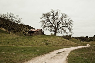 Paisaje de montana y vejetaryen
