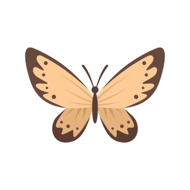 Yumuşak kelebek düz ikonu. Beyaz arka planda izole edilmiş yassı bir kelebek. Web, oyun ve reklam elementleri