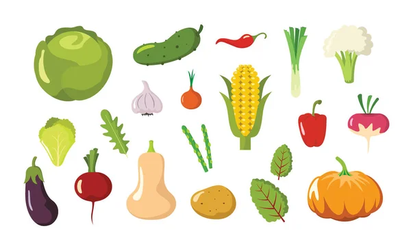 Vegetarisk Bondmat Broccoli Grön Hälsosam Grönsak Färska Färg Tecknade Grönsaker — Stock vektor