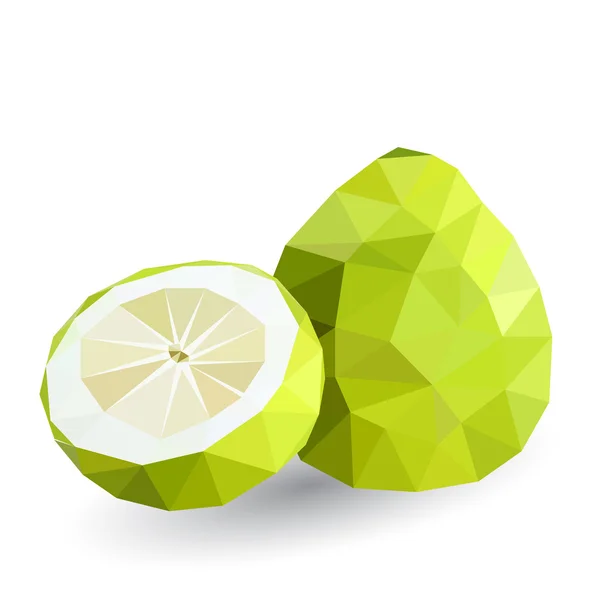 Ilustración vectorial de un pomelo — Archivo Imágenes Vectoriales