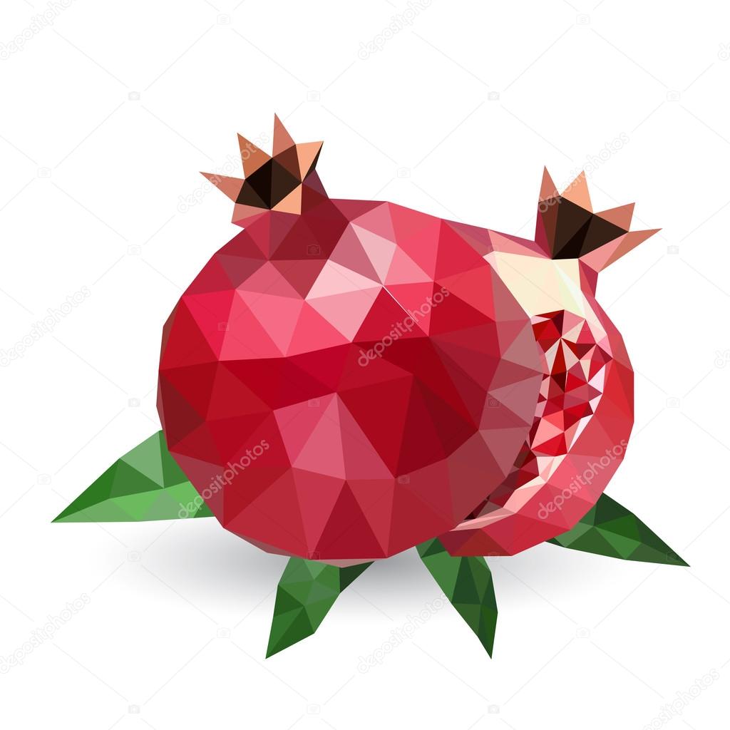 Vector illustration of a pomegranate