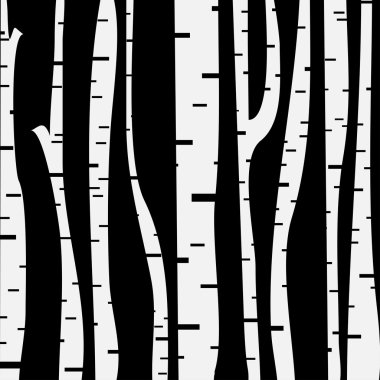 Sen çizmek için üç huş ağacı